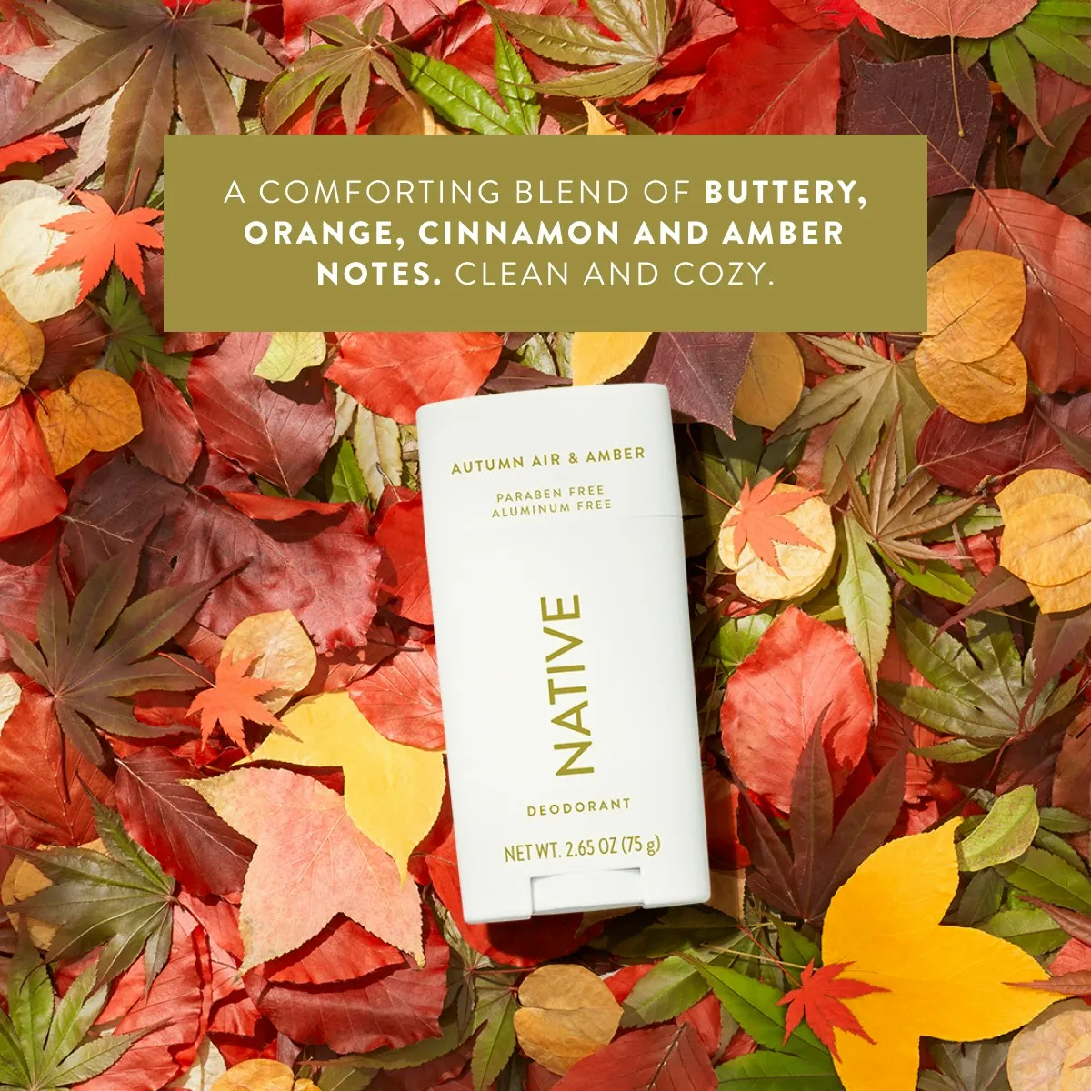 Autumn Air & Amber