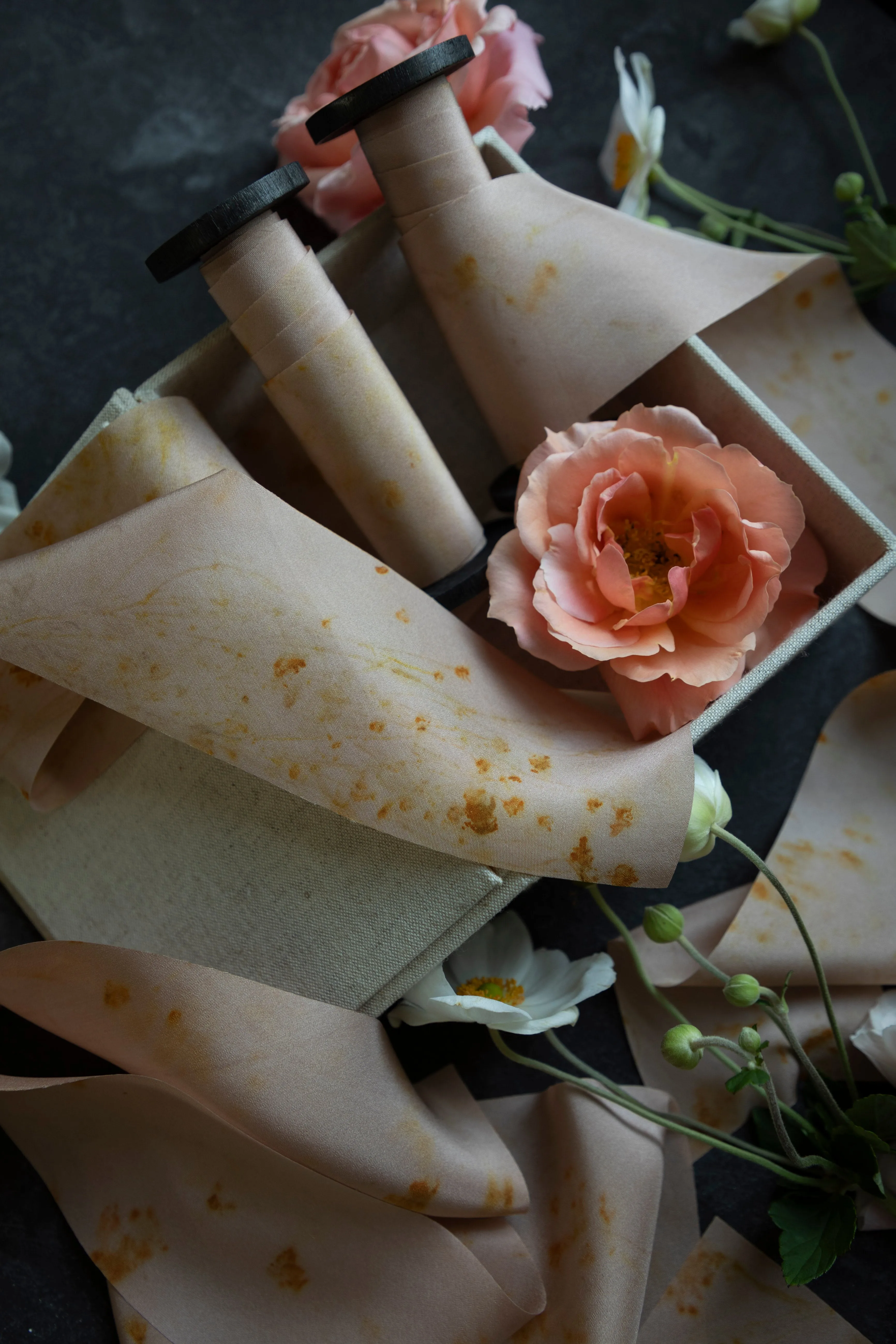 LIMITED EDITION | Original Eco-Print No. 123 Silk Ribbon